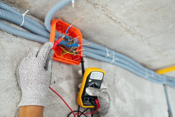 Best Residential Electrician Services  in Madison Heights, MI